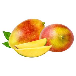 [AA019] MANGO X UN.